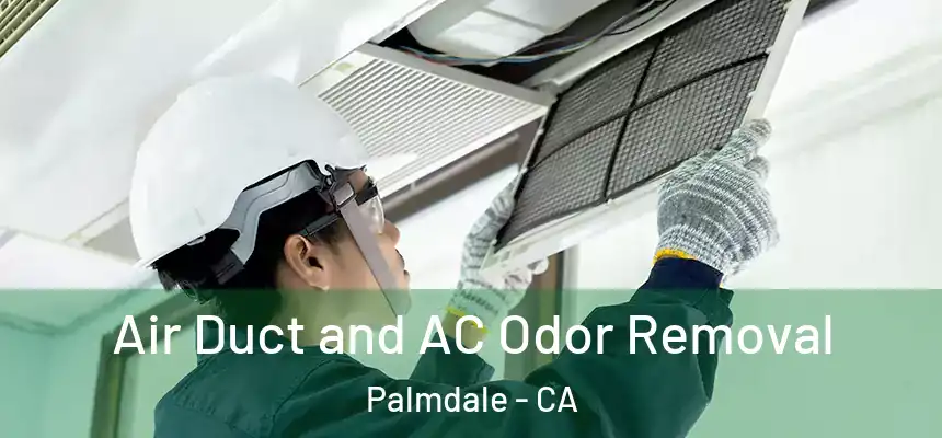  Air Duct and AC Odor Removal Palmdale - CA