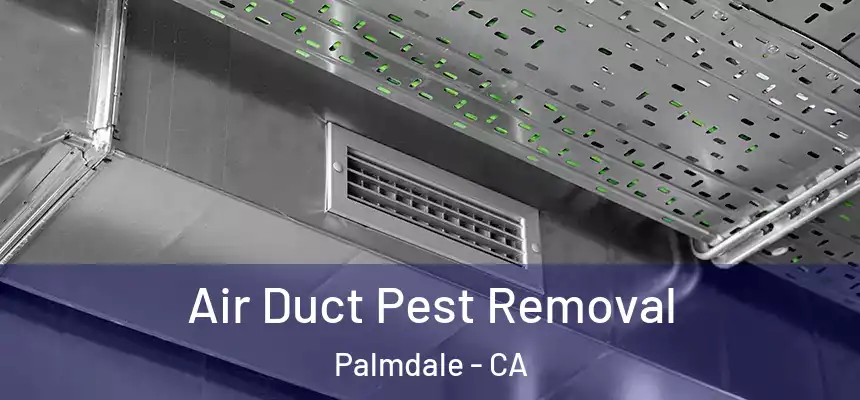 Air Duct Pest Removal Palmdale - CA