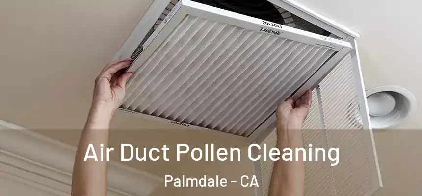 Air Duct Pollen Cleaning Palmdale - CA