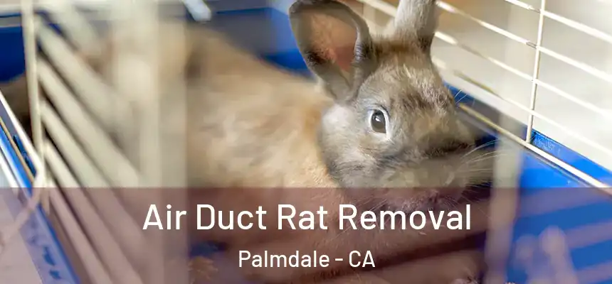Air Duct Rat Removal Palmdale - CA