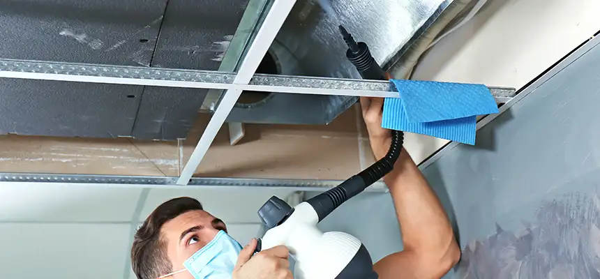 Our Air Duct Rodent Removal Services in Palmdale, CA