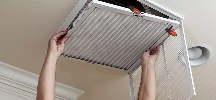 Our Insect Removal from Air Ducts Services in Palmdale, CA