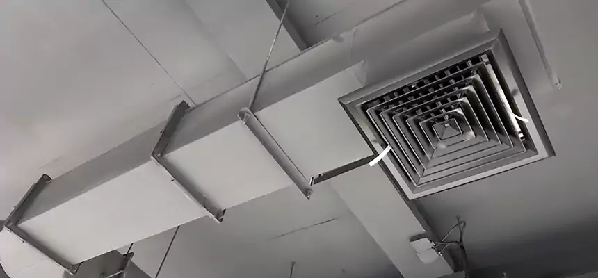 Our Pest Removal From Ducts Services in Palmdale, CA