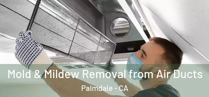  Mold & Mildew Removal from Air Ducts Palmdale - CA