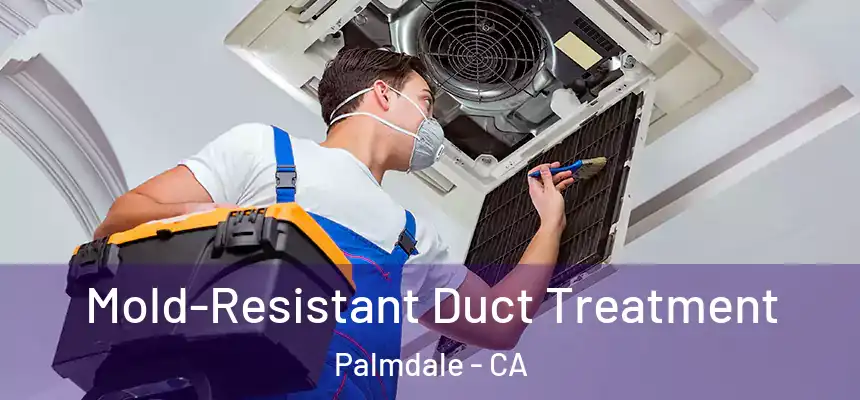 Mold-Resistant Duct Treatment Palmdale - CA