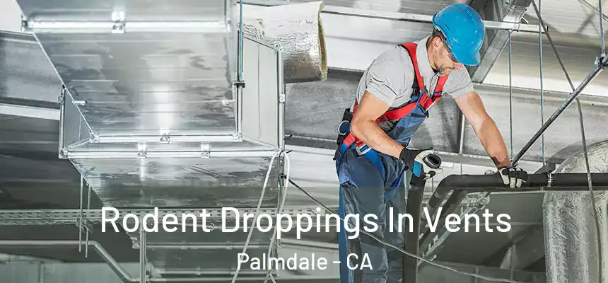  Rodent Droppings In Vents Palmdale - CA
