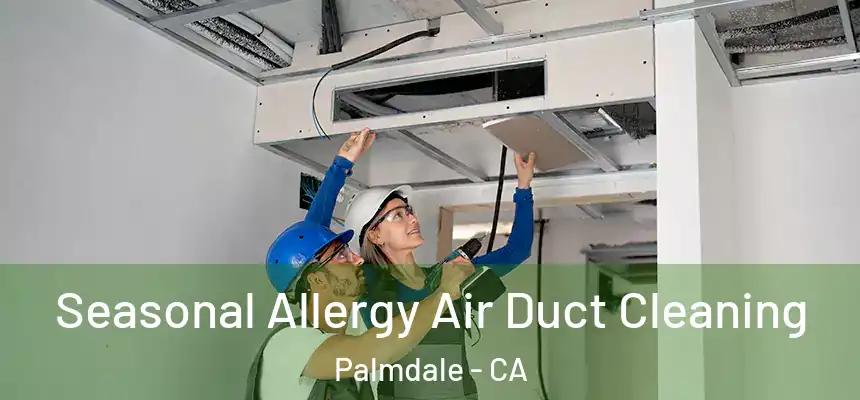 Seasonal Allergy Air Duct Cleaning Palmdale - CA