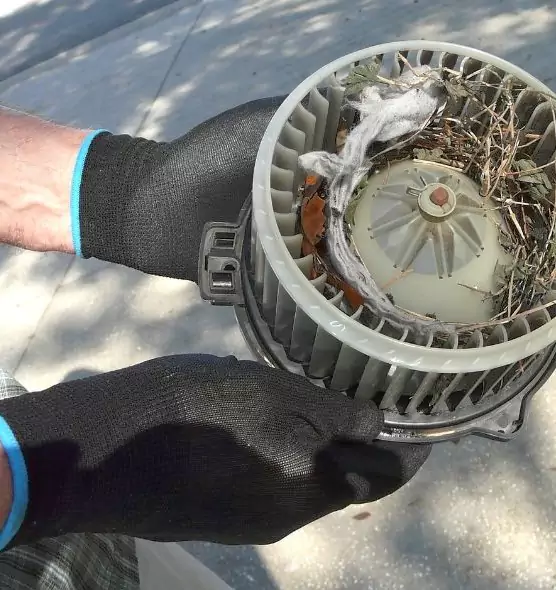 About Air Duct Rat Removal in Palmdale, CA