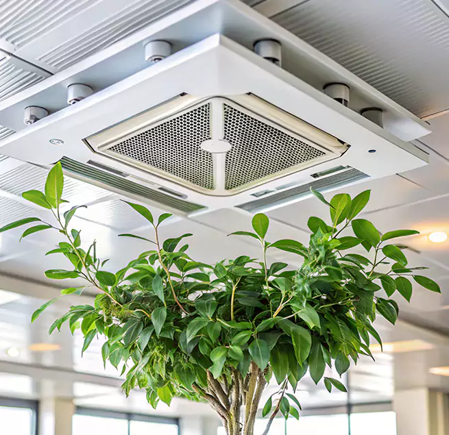 Why Homeowners & Businesses Trust Us in Palmdale, CA