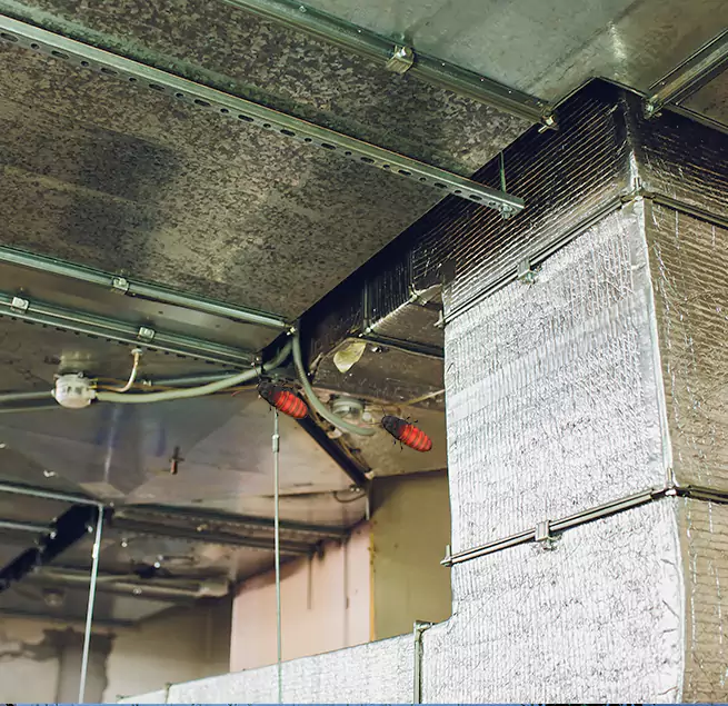 Why Homeowners & Businesses Trust Us Palmdale, CA?