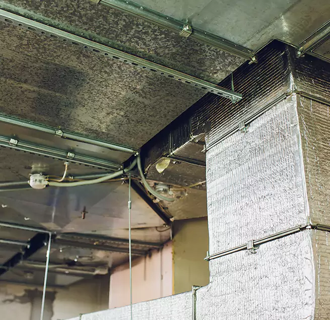 Why Homeowners & Businesses Trust Us in Palmdale, CA?